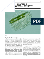 Chapter 2-1 Protozoa Diversity: Moss-Dwelling Micro-Organisms