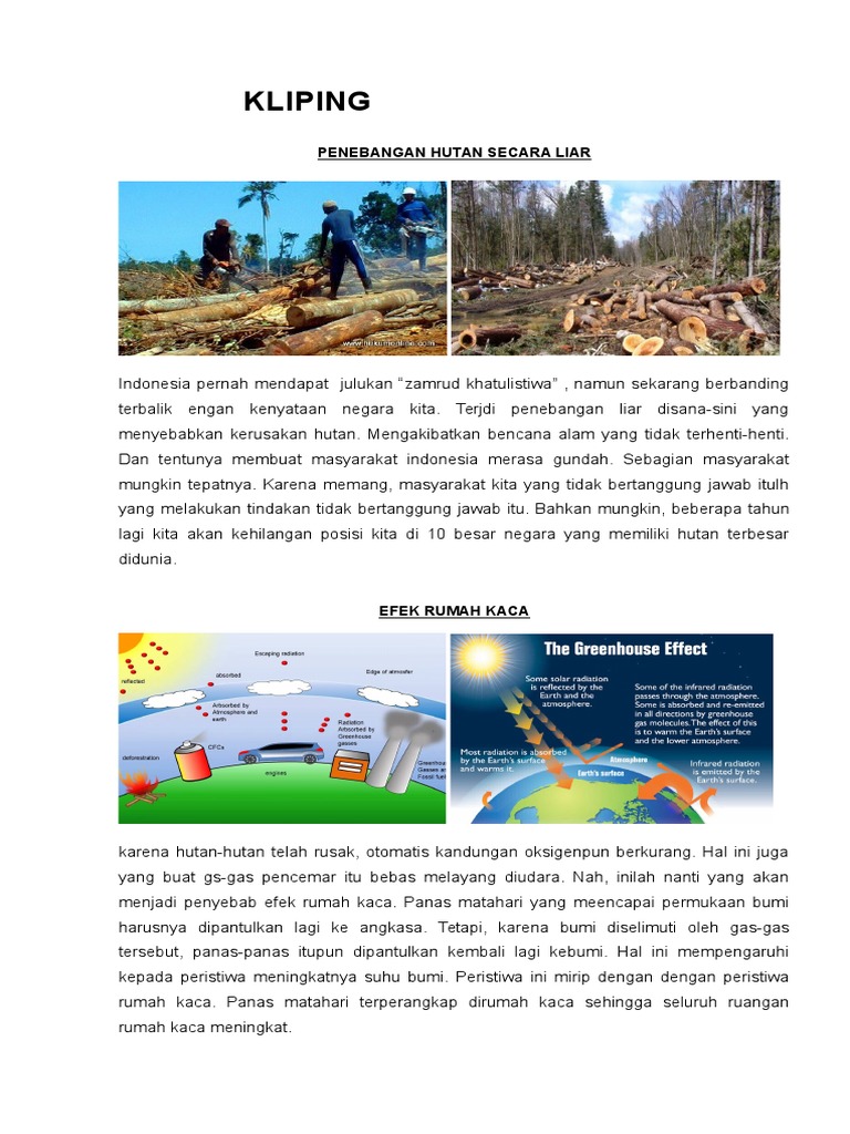 Kliping Lingkungan Hidup