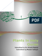 Plants in Holy Quran