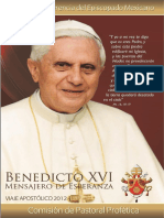 Mensaje CEM Visita BXVI Mexico