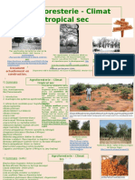 Agroforesterie_Climat-tropical-sec.pptx