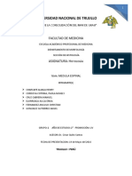 Medula Espinal Final PDF