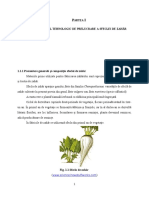 1.1.1 Prezentare Generală I Compozi Ia Sfeclei de Zahăr Ș Ț