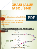 Integrasi Jalur Metabolisme