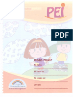 Pei Medio Mayor 1 PDF