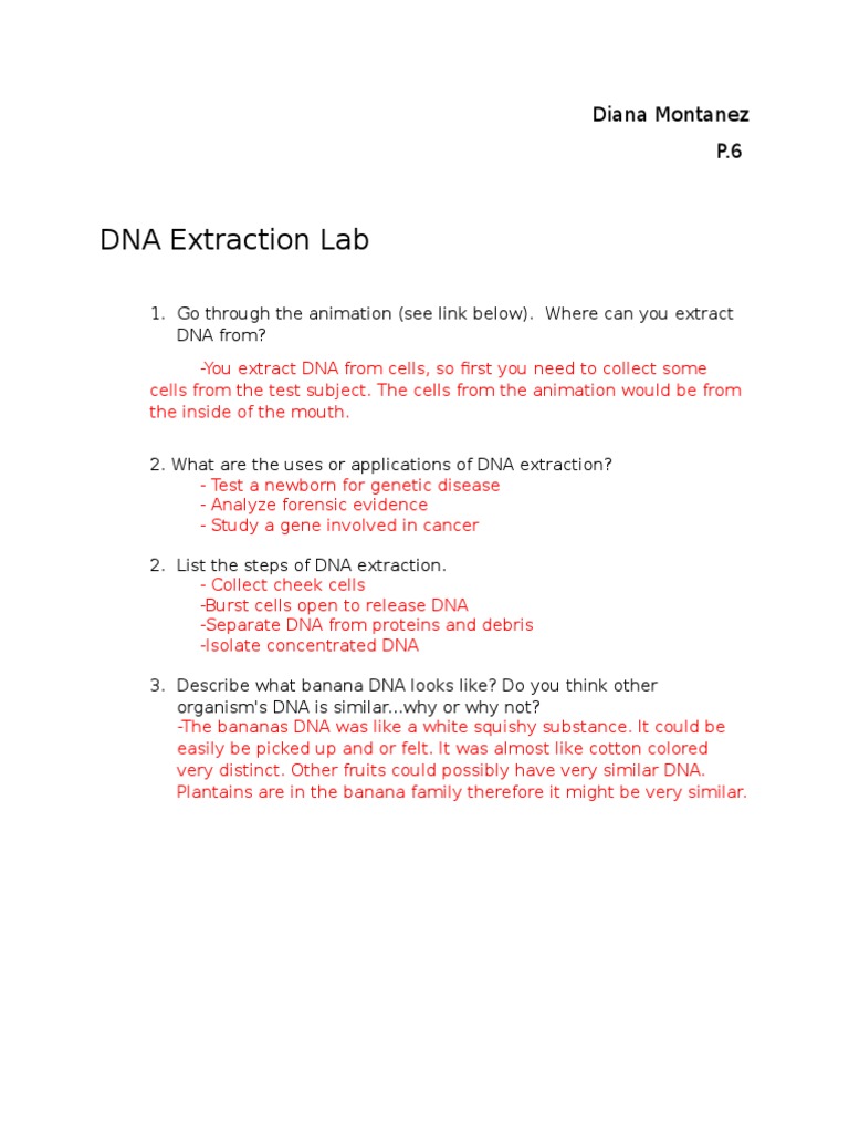 Dna Extraction Lab PDF Banana Dna