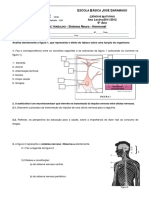 Ficha Trabalho - Sistema - Neuro-Hormonal PDF