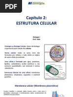 4526biologia 1 Aula 1 Cap Tulo 2 Jo o