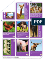 Animal Planet Animal Bites Fun Fact Cards