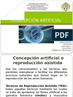 Concepción Artificial