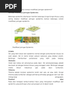 Sebutkan Bentuk Bentuk Modifikasi Jaringan Epidermis