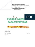 Trabajo Del Fuego e Incendio