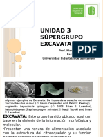Unidad 3 Supergrupo Excavata_2016a
