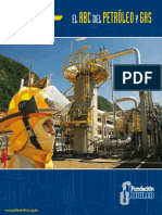 PETROLEO Y GAS.pdf