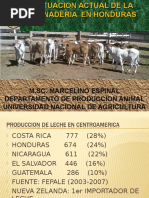 Situacion Actual de La Ganaderia en Honduras - Copia