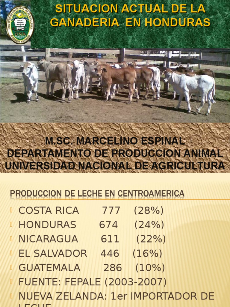 Situación Actual de la Ganadería en Honduras | PDF | Leche | Productos ...