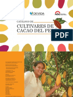 Cultivares de Cacao en El Peru PDF