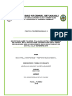 Informe General de Practicas Profesionales 2 FINAL