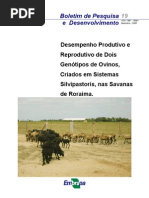 Ovinos Deslanados em Sistemas Silvipastoris