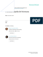 Pirólisis Rápida de Biomasa VEbook