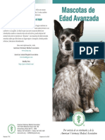 SeniorPets SP PDF