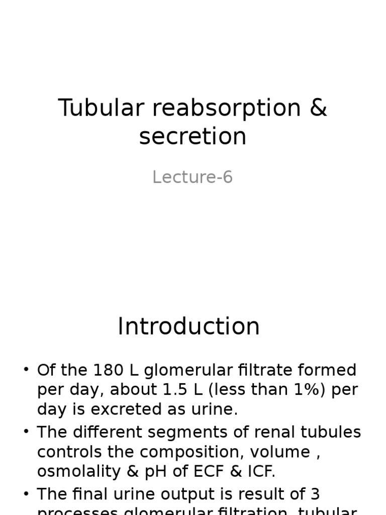 Tubular Reabsorption & Secretion | PDF | Kidney | Cell Biology