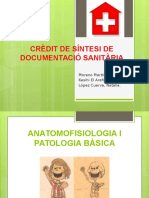 Crédit de Síntesis de Documentació Sanitária