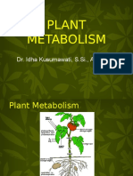 Plant Metabolites UB - PPT DR