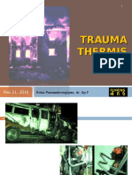 2014 EP Trauma Thermik