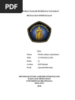 Download LAPORAN DBT MULSA DAN PEMULSAAN by Fridia Arintya SN313349627 doc pdf