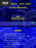 Mpob Grading Manual NEW2 | PDF