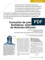 _Formacion de patrones biologicos - 08a_Rep_Patrones_MN3.pdf