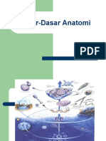 Dasar-Dasar Anatomi