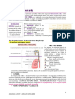 Estructura Funcional y Mecanica Respiratoria 1