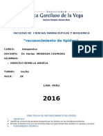 Practica-Bioquimica-1-1lipidos.docx