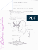 Sistema Neuromuscular fisiologia.pdf