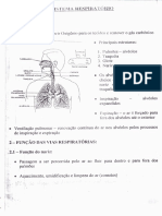 Sistema Respiratório Fisiologia PDF