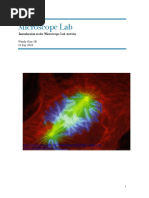 Download -Microscope Lab Report by Brian Luo SN313381769 doc pdf