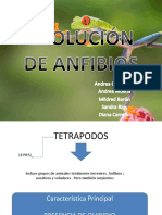 Anfibios Evolucion Expo