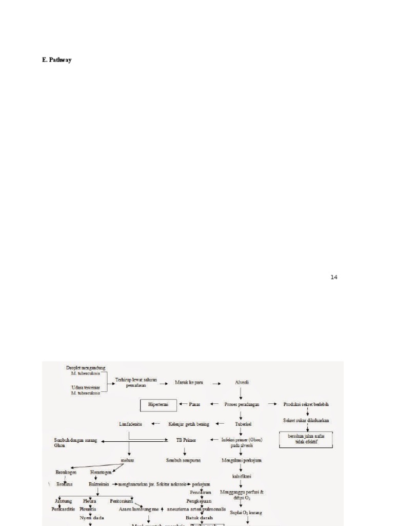 Pathway | PDF