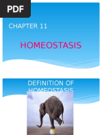 BIOLOGY STPM CHAPTER 11 TERM 2