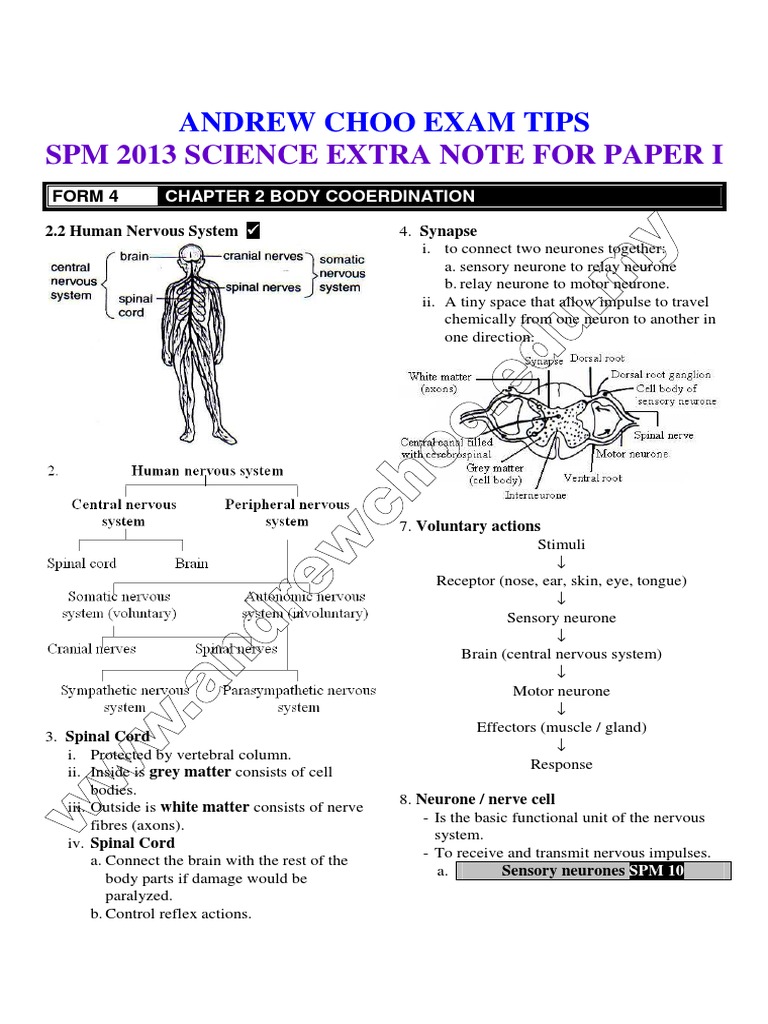 Spm spot essay 2013 image