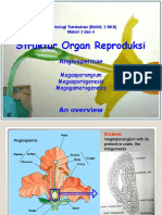 Embriologi Tumbuhan - Materi 2