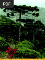 Unidades de conservacao MMA_Paraná