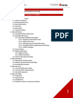 01.PAUTA Informe Ing - Software (8524)