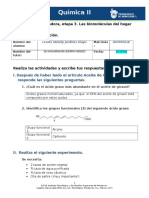 Actividad Integradora, Etapa 3. Las Biomoléculas Del Hogar