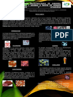 Cartel de Microbiologia PDF