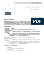 Curriculum Vitae Modelo1b Oscuro