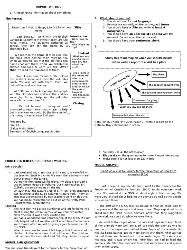 Pt3 english essay example article image