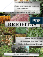 Briofitas_Jucara_Bordin.pdf